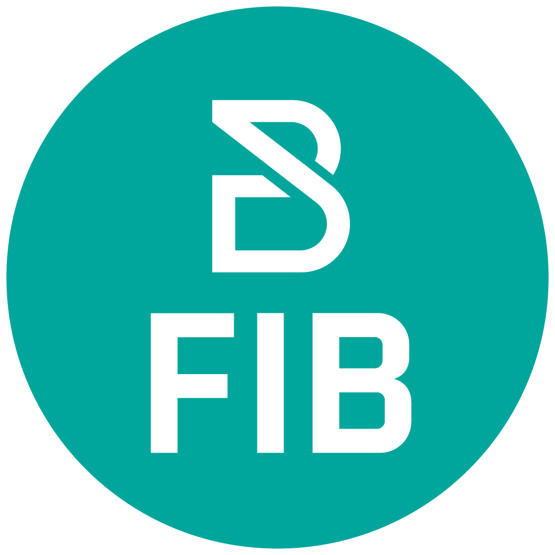 First Iraqi Bank