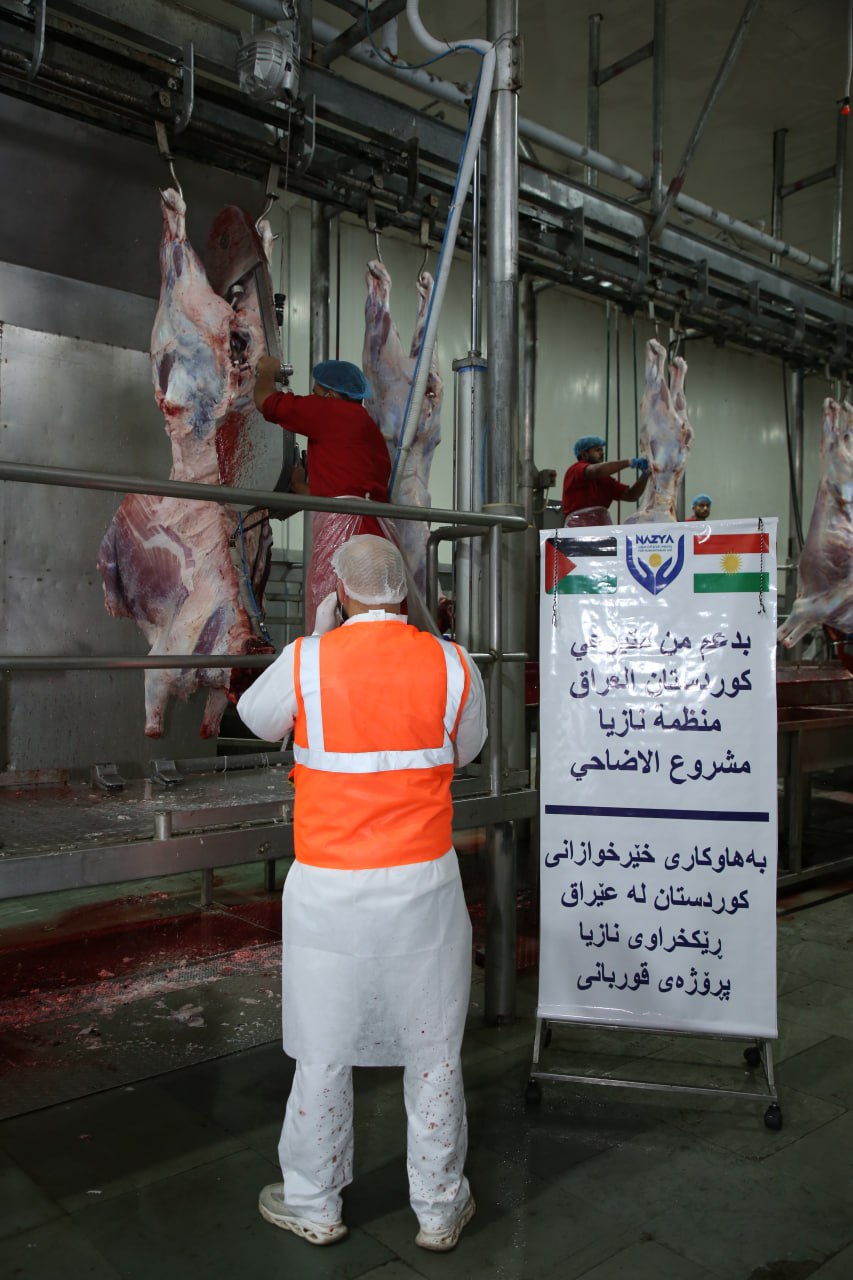 Eid Al-Adha Qurbani Meat Distribution | Nazya Humanitarian Aid, Gaza, Palestine