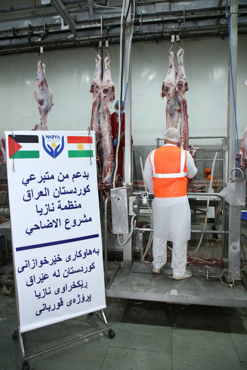 Eid Al-Adha Qurbani Meat Distribution | Nazya Humanitarian Aid, Gaza, Palestine