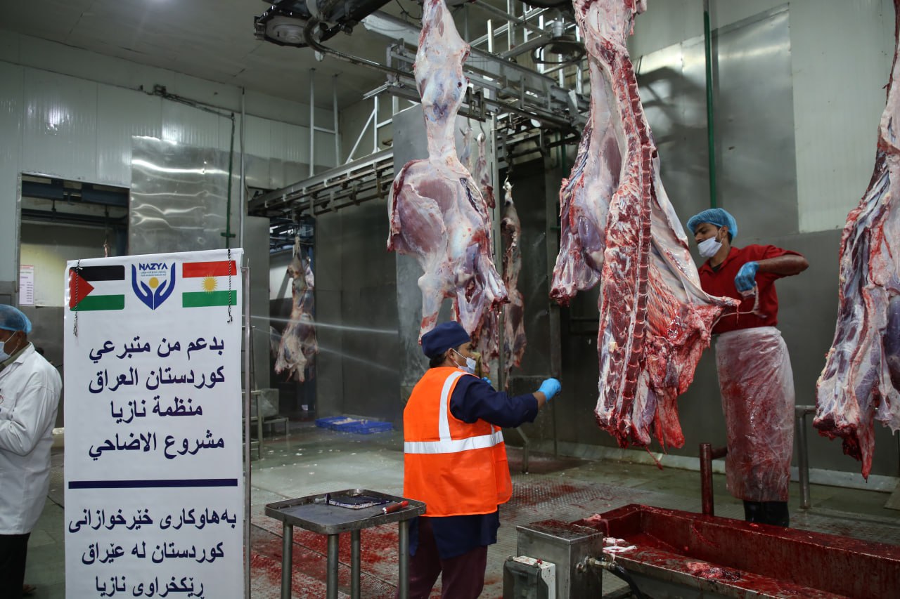 Eid Al-Adha Qurbani Meat Distribution | Nazya Humanitarian Aid, Gaza, Palestine