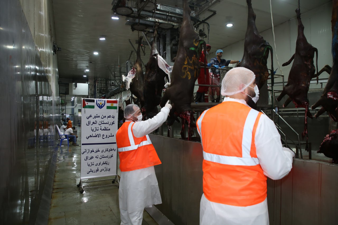 Eid Al-Adha Qurbani Meat Distribution | Nazya Humanitarian Aid, Gaza, Palestine