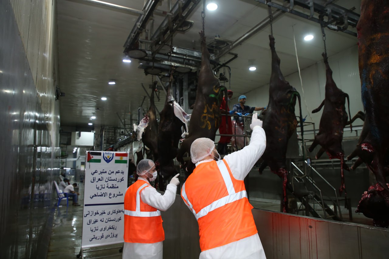Eid Al-Adha Qurbani Meat Distribution | Nazya Humanitarian Aid, Gaza, Palestine