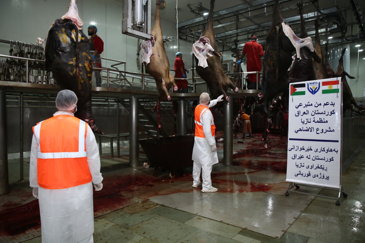 Eid Al-Adha Qurbani Meat Distribution | Nazya Humanitarian Aid, Gaza, Palestine