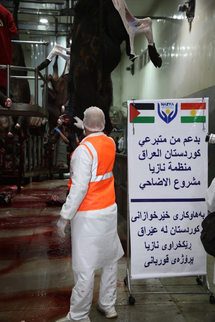 Eid Al-Adha Qurbani Meat Distribution | Nazya Humanitarian Aid, Gaza, Palestine
