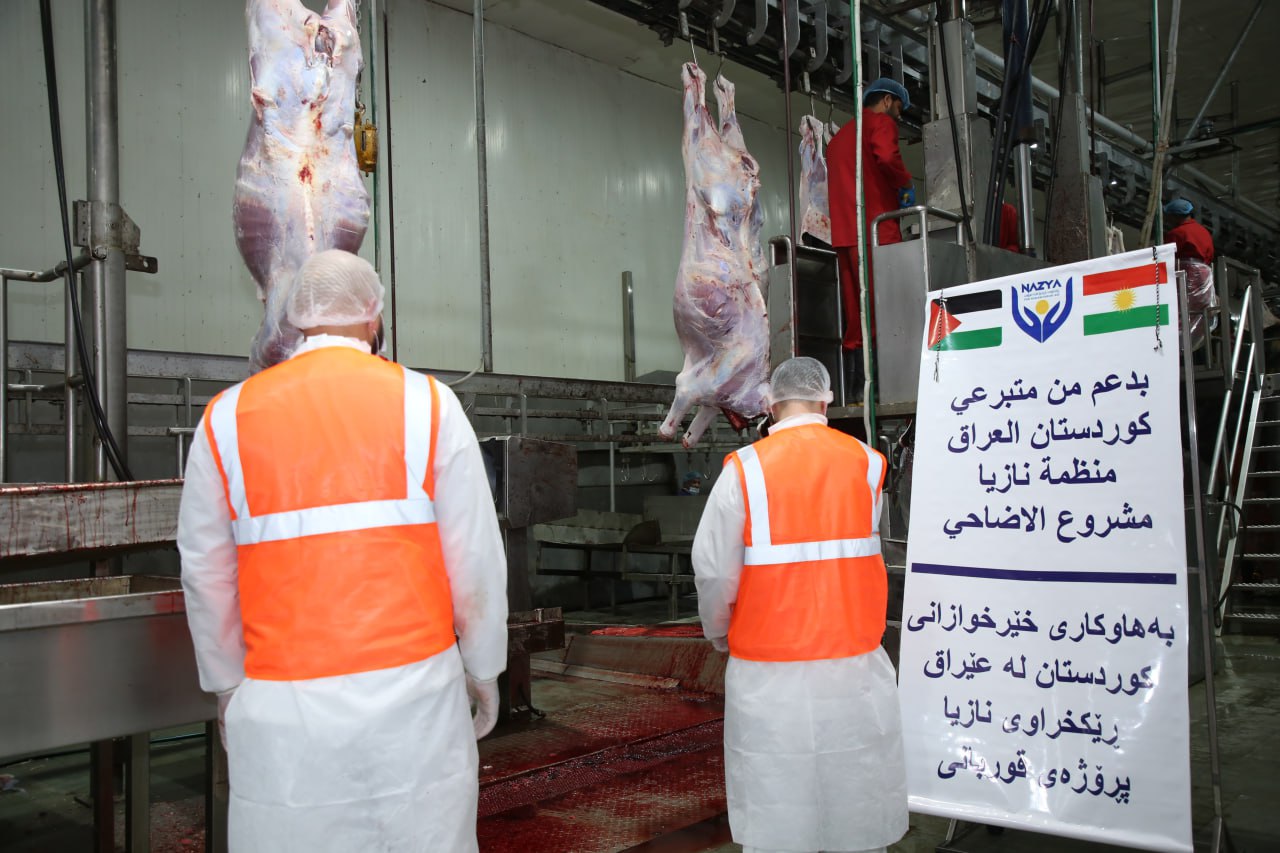 Eid Al-Adha Qurbani Meat Distribution | Nazya Humanitarian Aid, Gaza, Palestine